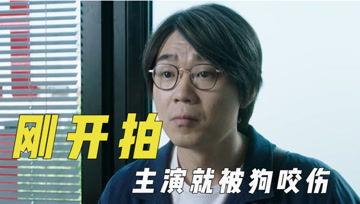 娱乐吃瓜君bgm,揭秘娱乐圈幕后故事,带你领略明星们的真实生活