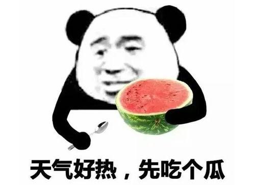 微信表情里的吃瓜表情是什么意思,网络社交中的趣味解读